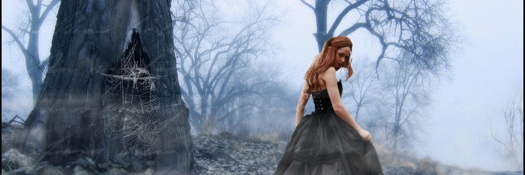 mayabren's profile banner image