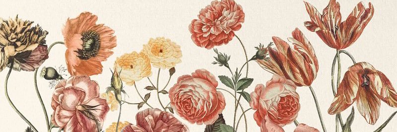 ••Ashes•• banner