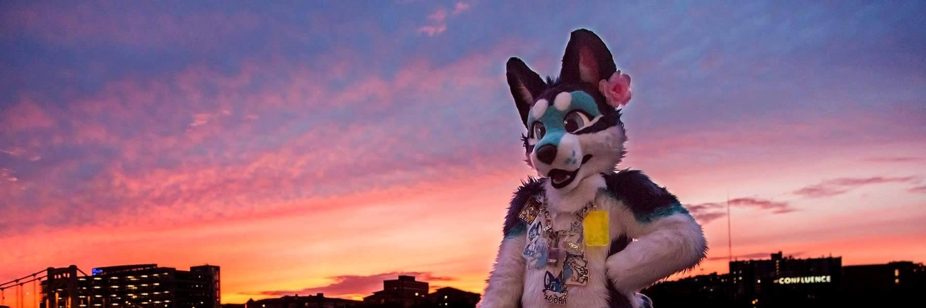 SoraHusky's profile banner image