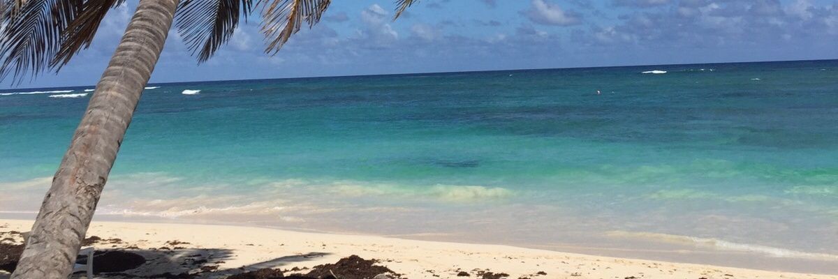 JoelGocool's profile banner image