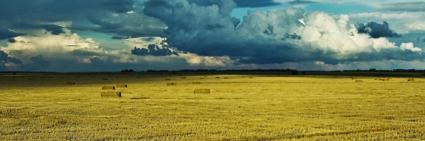 rodyonbykov's profile banner image