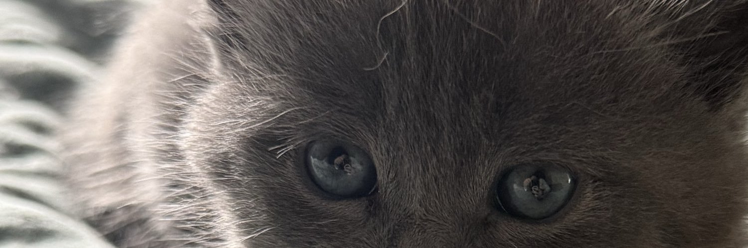 elomschn's profile banner image