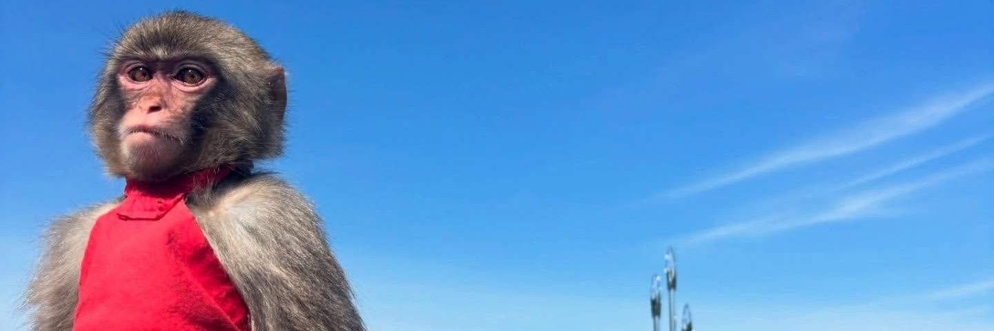VnssTd's profile banner image