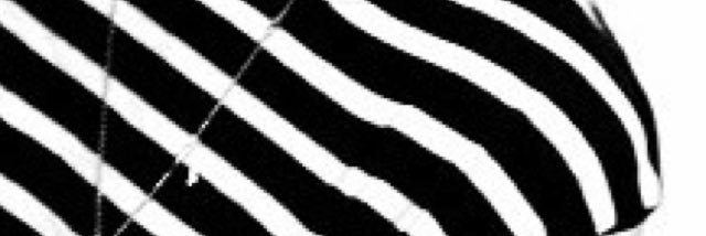 AmericanAsFuck_'s profile banner image