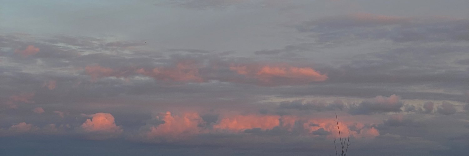 camiino_'s profile banner image