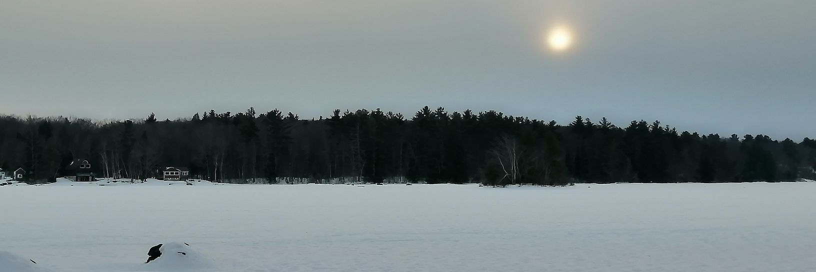Jennifer M banner