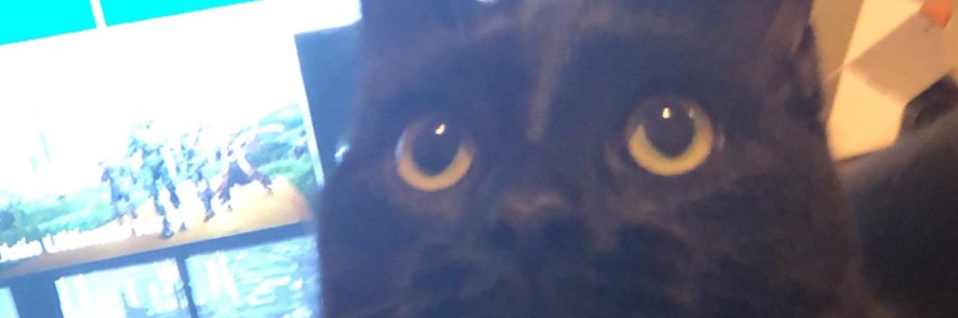 chrishog's profile banner image