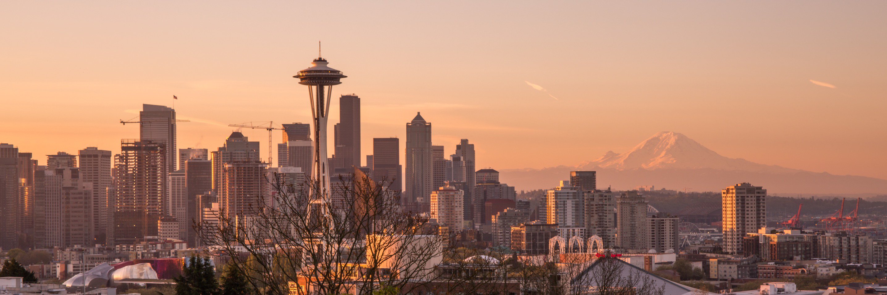 pugetsoundpro's profile banner image
