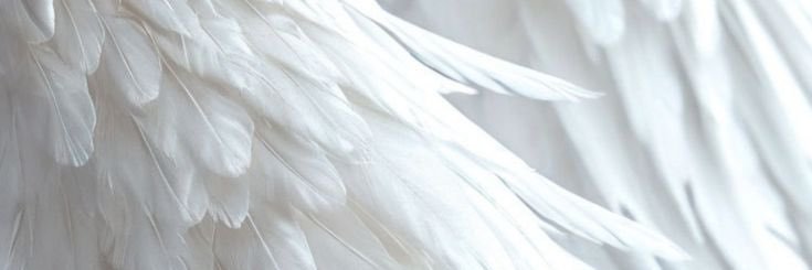 UteBoo's profile banner image