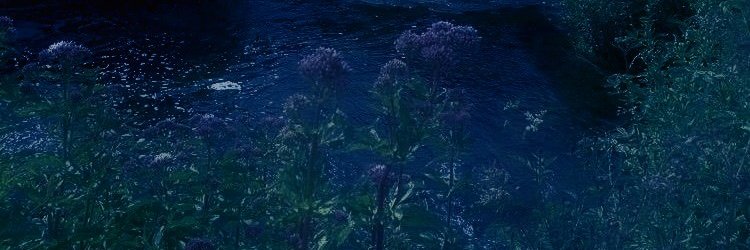 knethakenmary's profile banner image