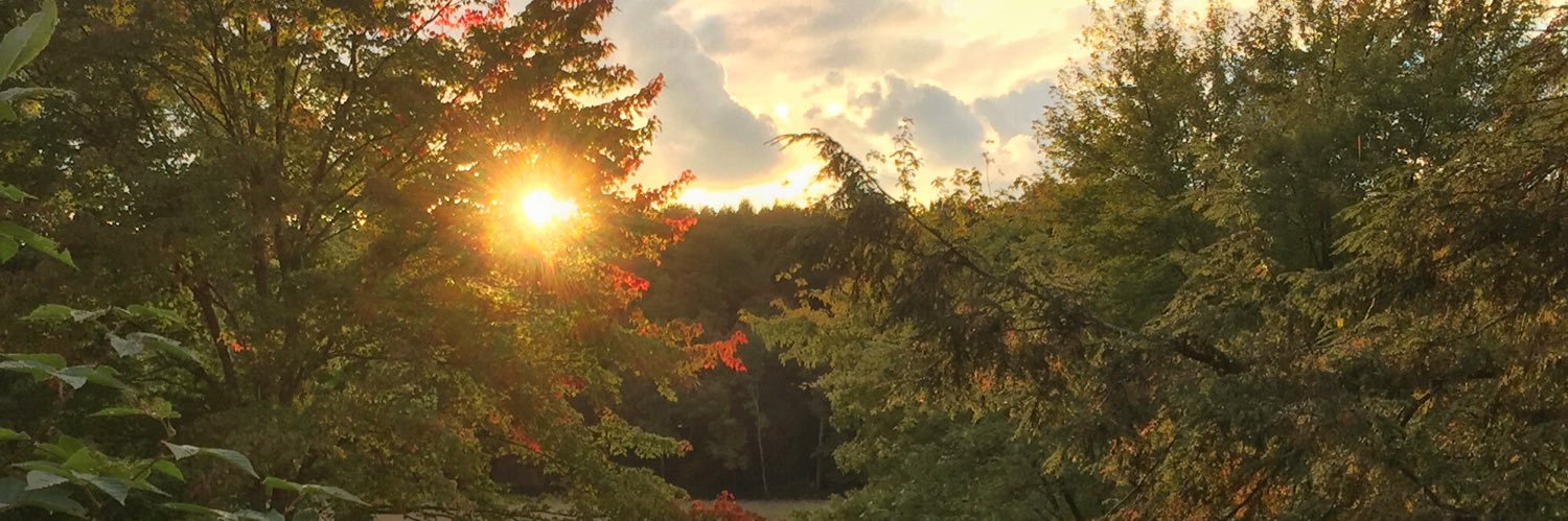 RogerPattersonJ's profile banner image