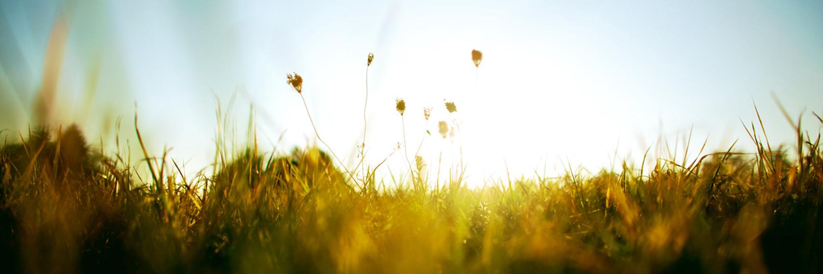 𝕐𝕦𝕚𝕔𝕙𝕖𝕟 banner