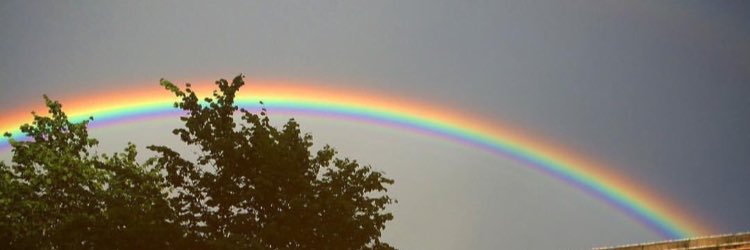 Mrs Macartney banner