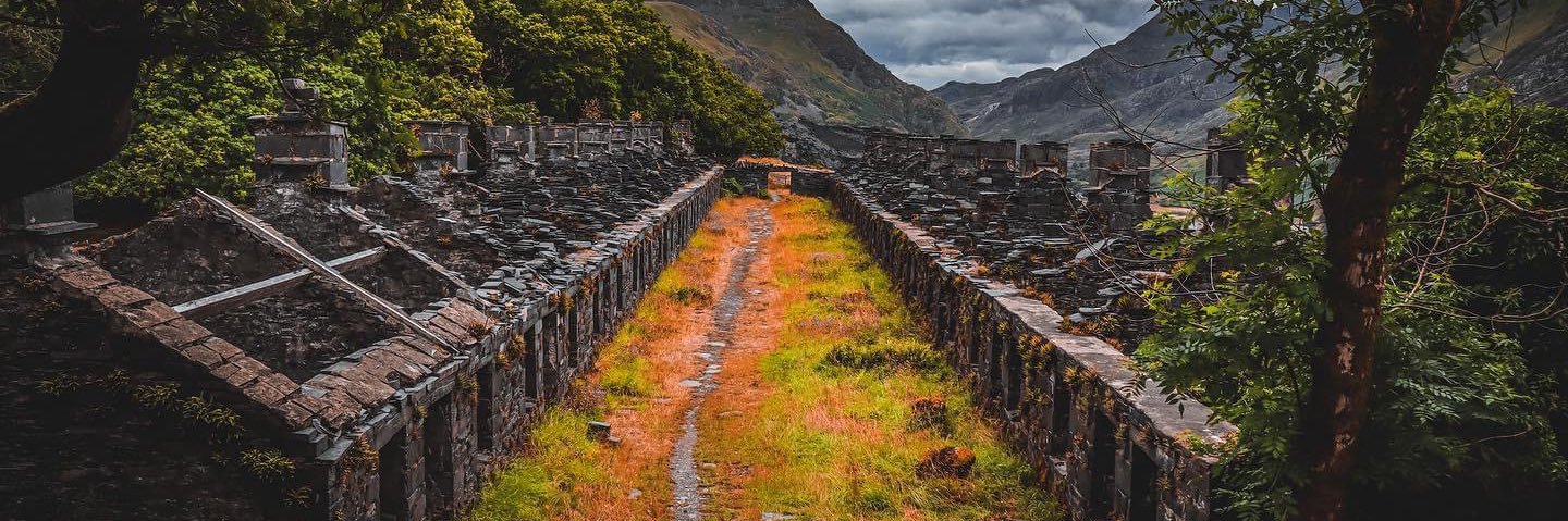 Mark 🏳️‍🌈 banner