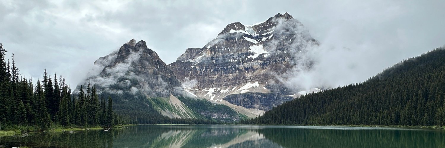 Robson Fletcher banner