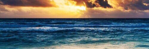 ashsnook_1's profile banner image