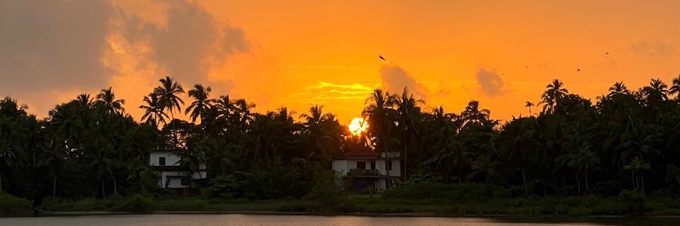 nimminavya's profile banner image