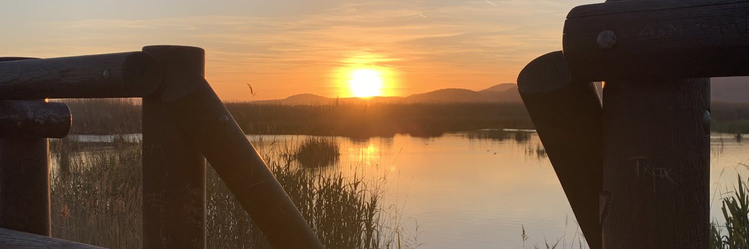 CeliaAlemanG's profile banner image