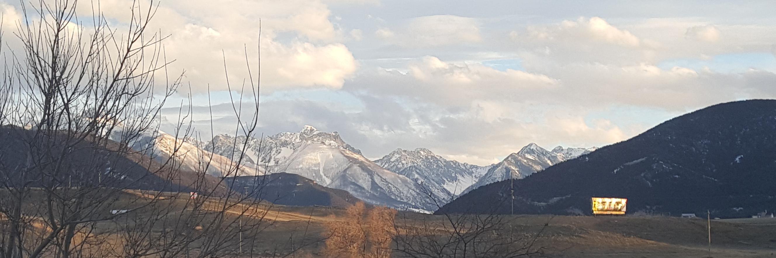 MarneDReed's profile banner image