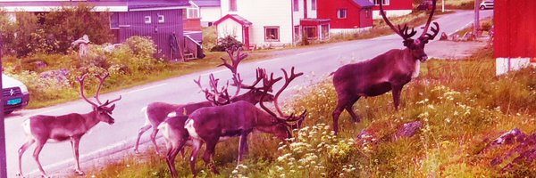 TuvaRB Profile Banner