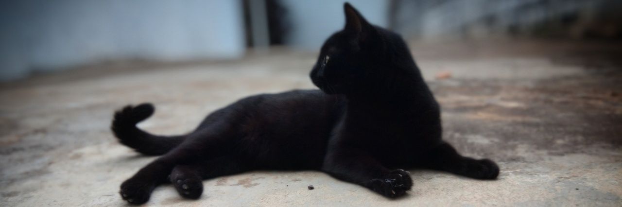 pperazab's profile banner image