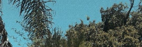 delfi_cesaretti's profile banner image