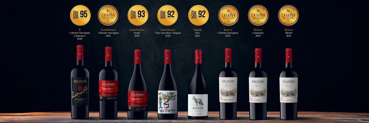BalduzziWines's profile banner image