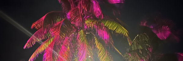 KnuppelRodney Profile Banner
