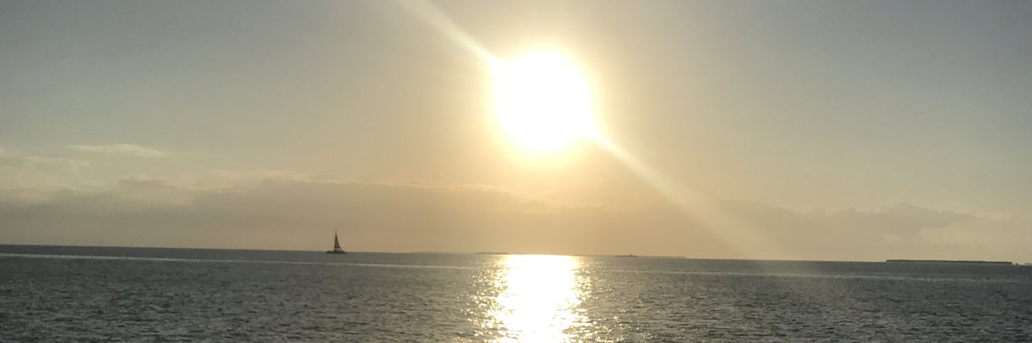 ResisterRN214's profile banner image