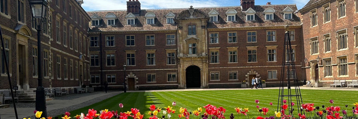 Dr Hend Hanafy banner