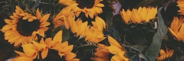 _danipaige_'s profile banner image