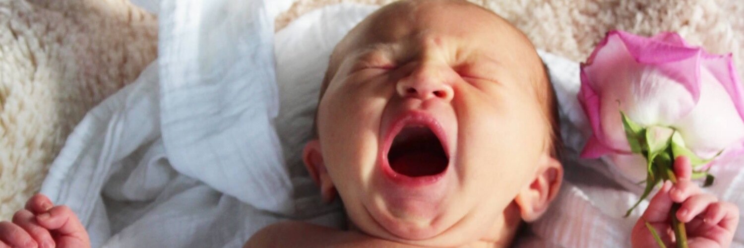 Stephanie Ball banner