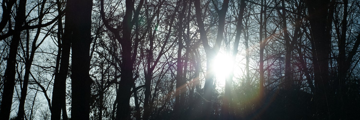 lauratrigg's profile banner image