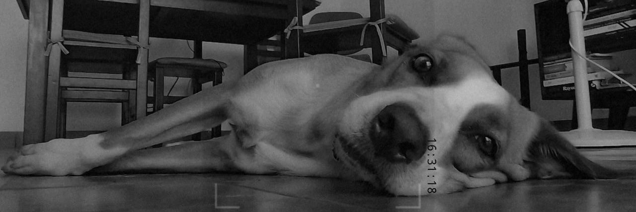 malenaovb's profile banner image