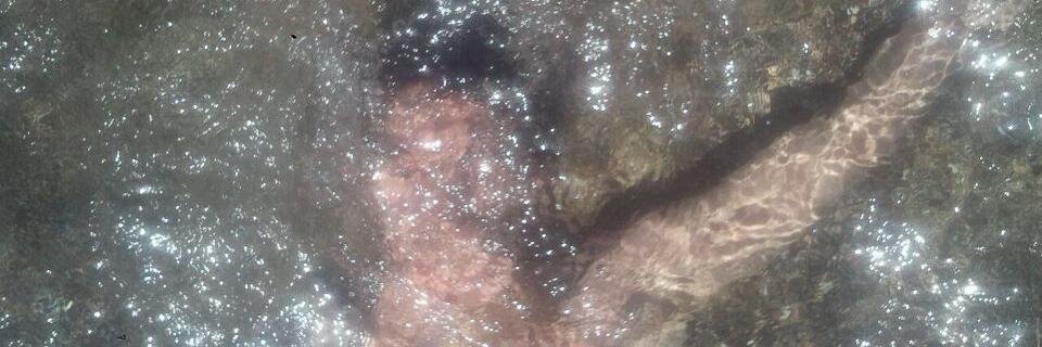 Aggelos Theophilou banner