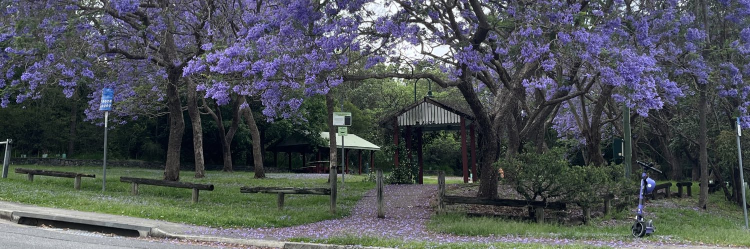 Tyree Mitchell banner