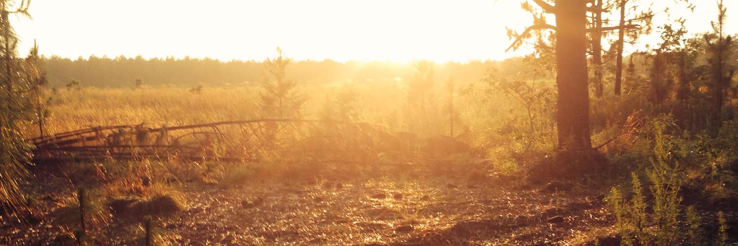 Shrugboattt's profile banner image