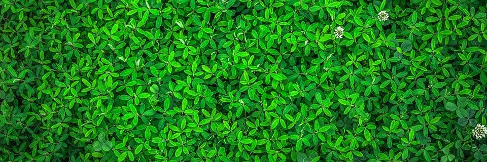 ItsMeModi's profile banner image