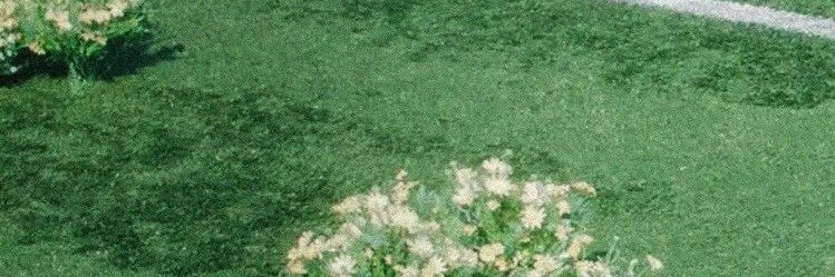sergiolohan_'s profile banner image