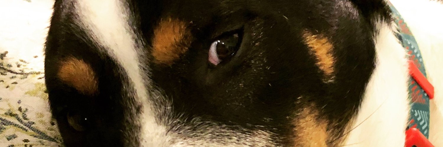 JKinlawTweets's profile banner image