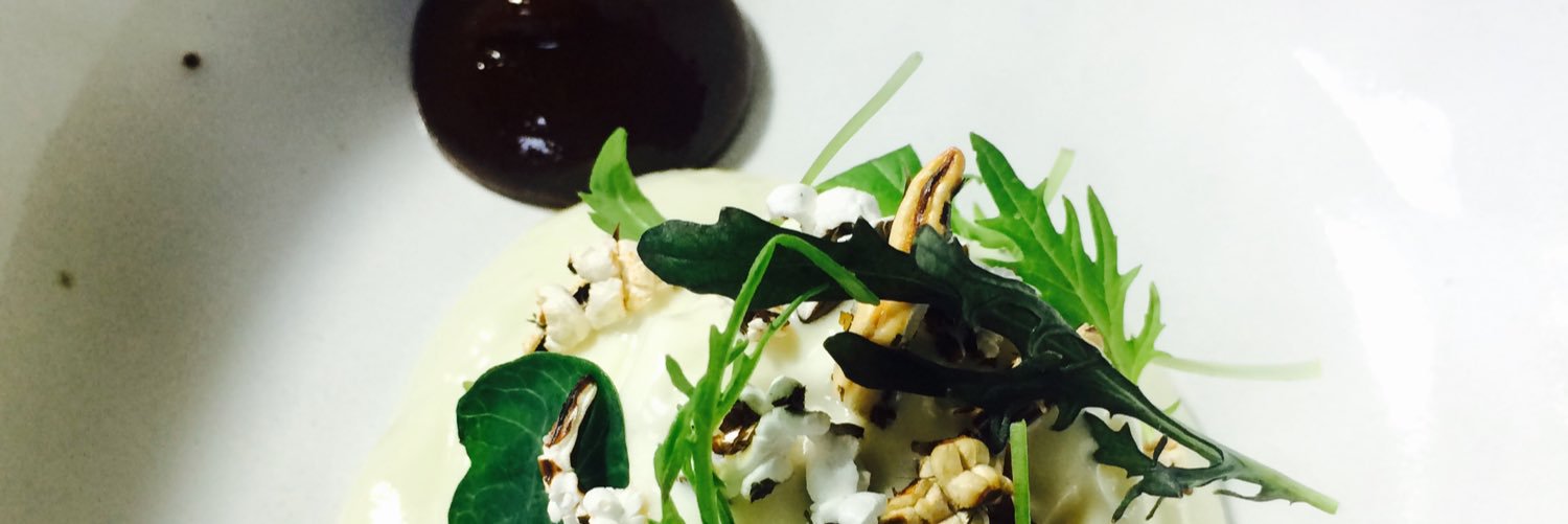 anthony raffo banner