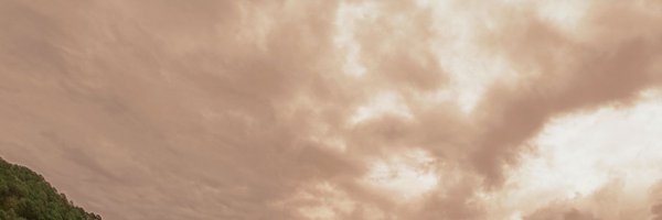 VatsalaShrangi Profile Banner