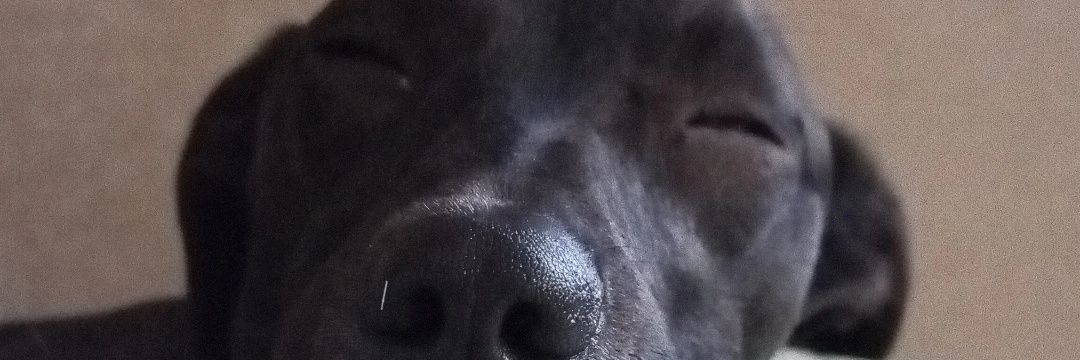 keylavasquezz's profile banner image