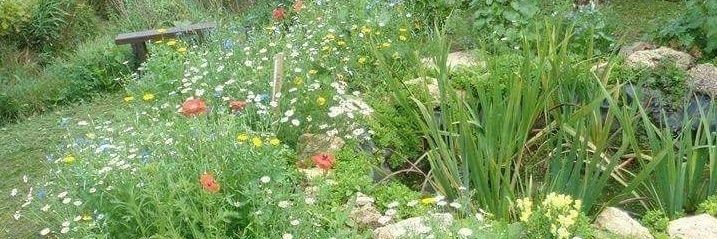 Pamela ♥️🔶️ LoveNHS RejoinEU PRnow 🇺🇦 banner