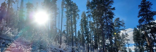 noracshelly Profile Banner