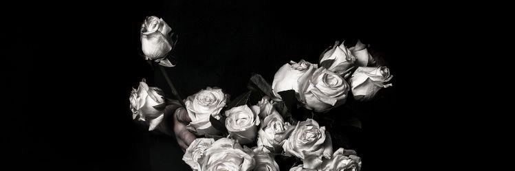 ericknatoo's profile banner image