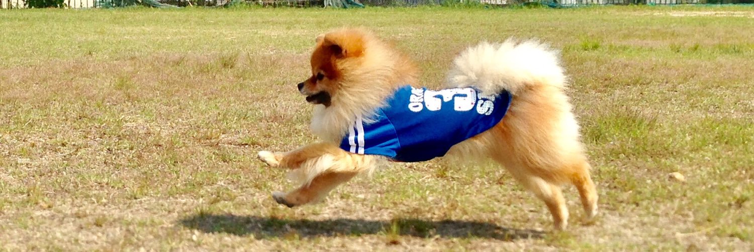 ponlemon's profile banner image