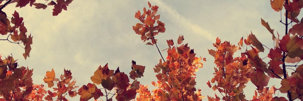 kcj___'s profile banner image