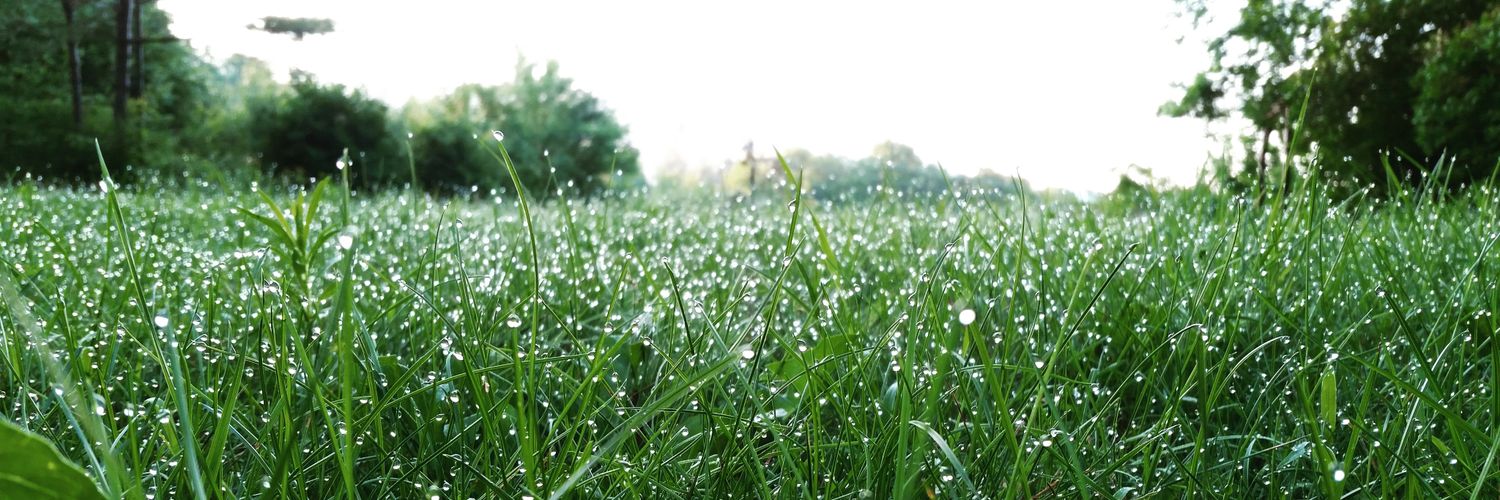 StilSOLMalantis's profile banner image