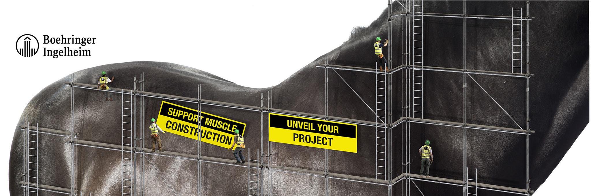 Equitop Myoplast banner